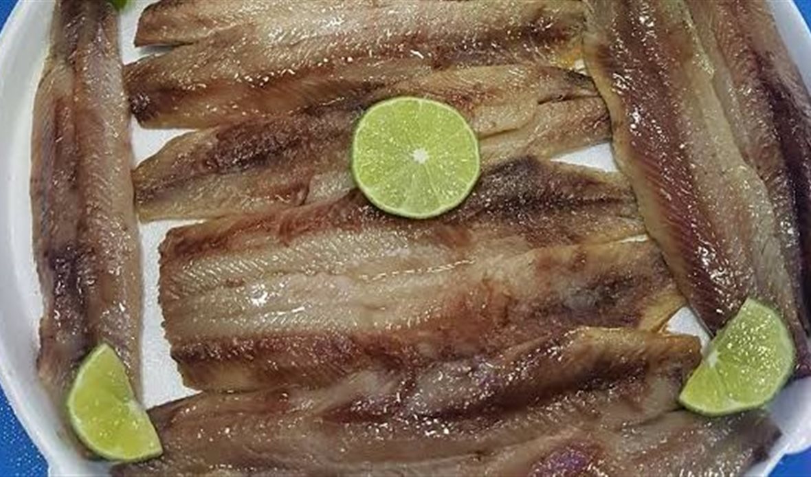 منتهى نيوز