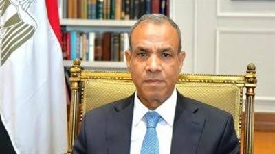 وزير الخارجية: مصر تحتفظ بحقها للدفاع عن مصالحها المائية