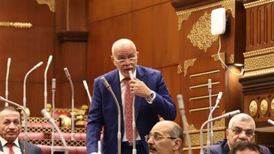 حازم الجندي يكشف أهداف تعديلات قانون سجل المستوردين المعروض أمام مجلس الشيوخ