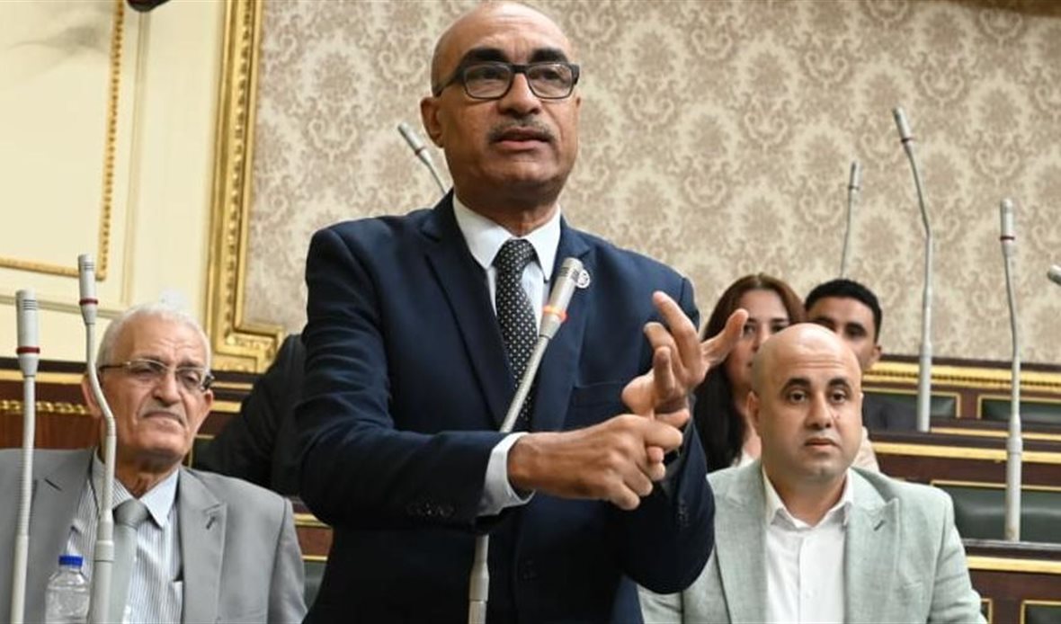 إيهاب منصور يضم المخططات
