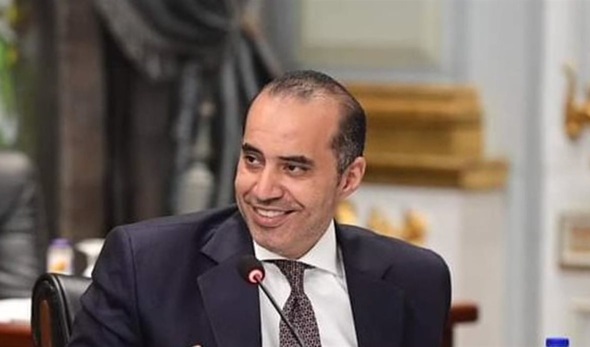 المستشار محمود فوزي