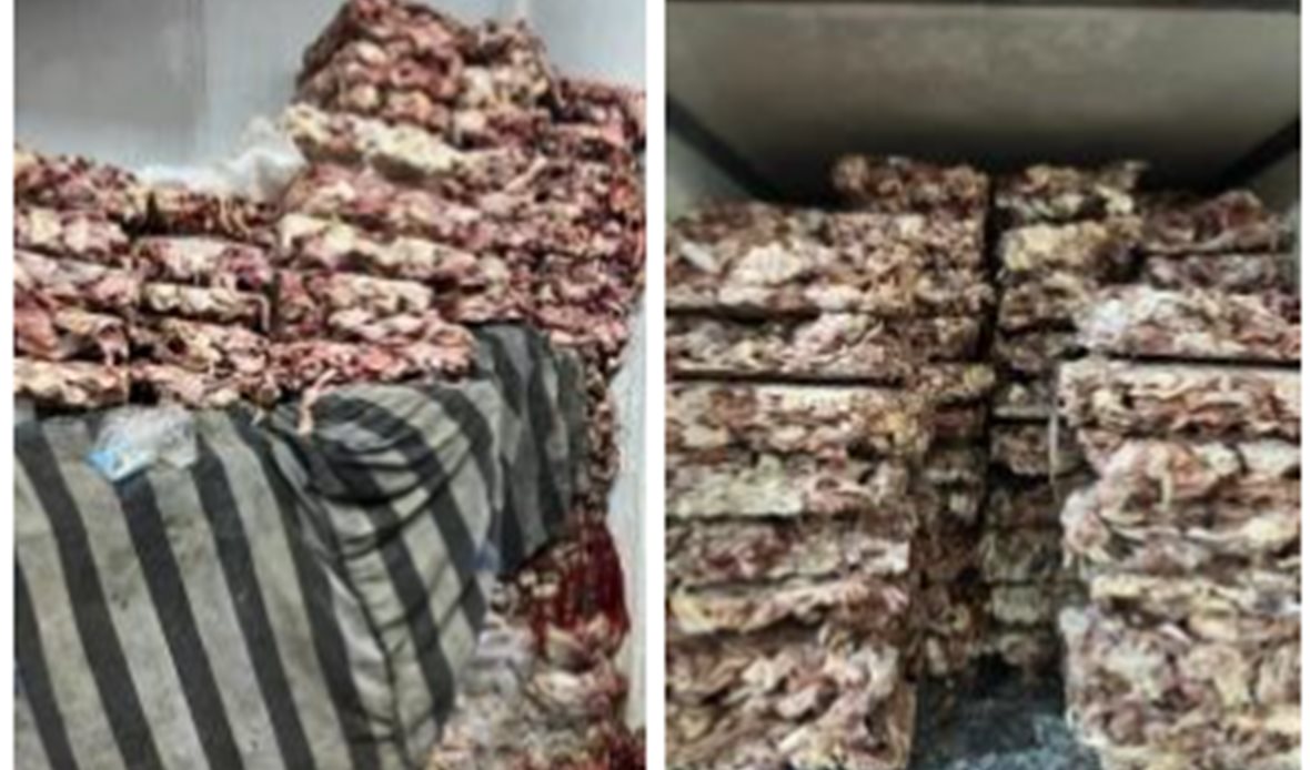 المضبوطات 