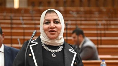 النائبة حنان عمار: مصر مستمرة في دعم القضية الفلسطينية على جميع الأصعدة