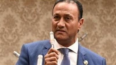 برلماني: مبادرة 