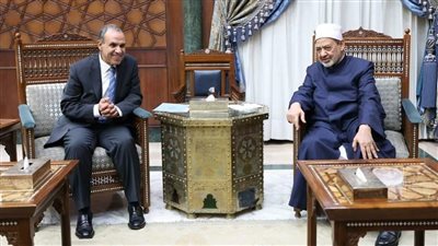 شيخ الأزهر يستقبل وزير الخارجية للتهنئة بنجاح جولته إلى جنوب شرق آسيا