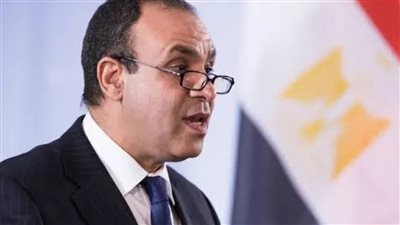 وزير الخارجية: لا مجال لسلام دائم وشامل إلا بتنفيذ حل الدولتين