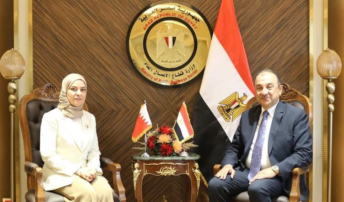 وزير قطاع الأعمال