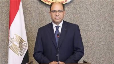 متحدث الخارجية: تنسيق بين مصر وقطر للوصول لوقف إطلاق النار في غزة
