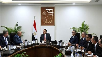 رئيس الوزراء يتابع موقف مشروعات الهيدروجين الأخضر