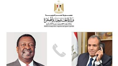 وزير الخارجية ونظيره الكيني يناقشان سبل تعزيز العلاقات الثنائية 