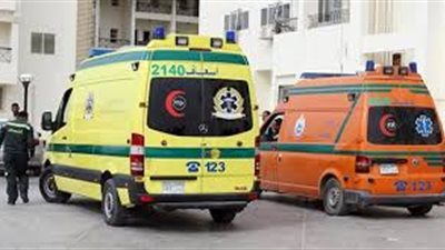 سيارة تقتل طفلين وتصيب ثالثًا بمدينة نصر