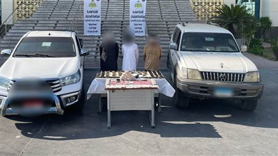  “سقوط 10 عناصر إجرامية بحوزتهم كميات من المخدرات تقدر بـ 21 مليون جنيه”