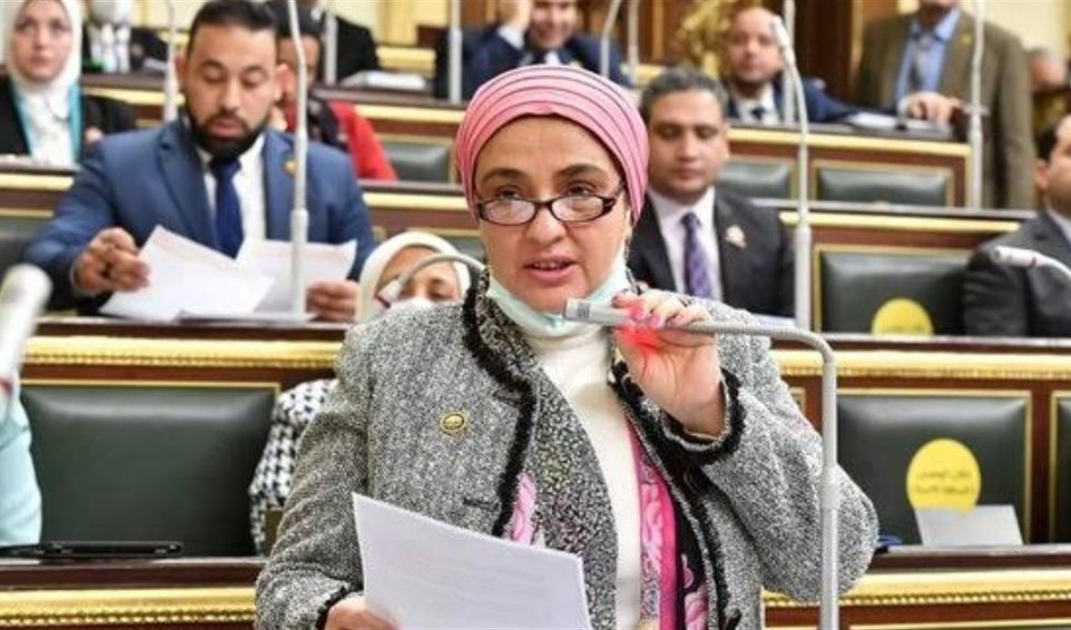 النائبة سميرة الجزار