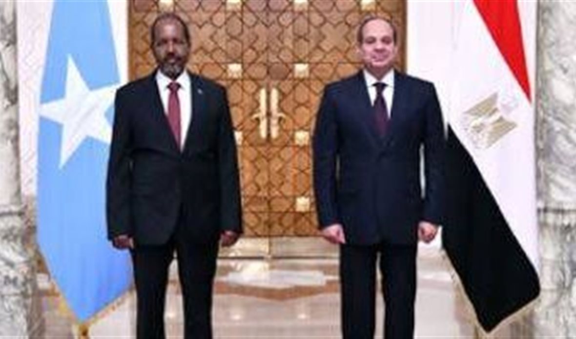 الرئيس السيسي ونظيره