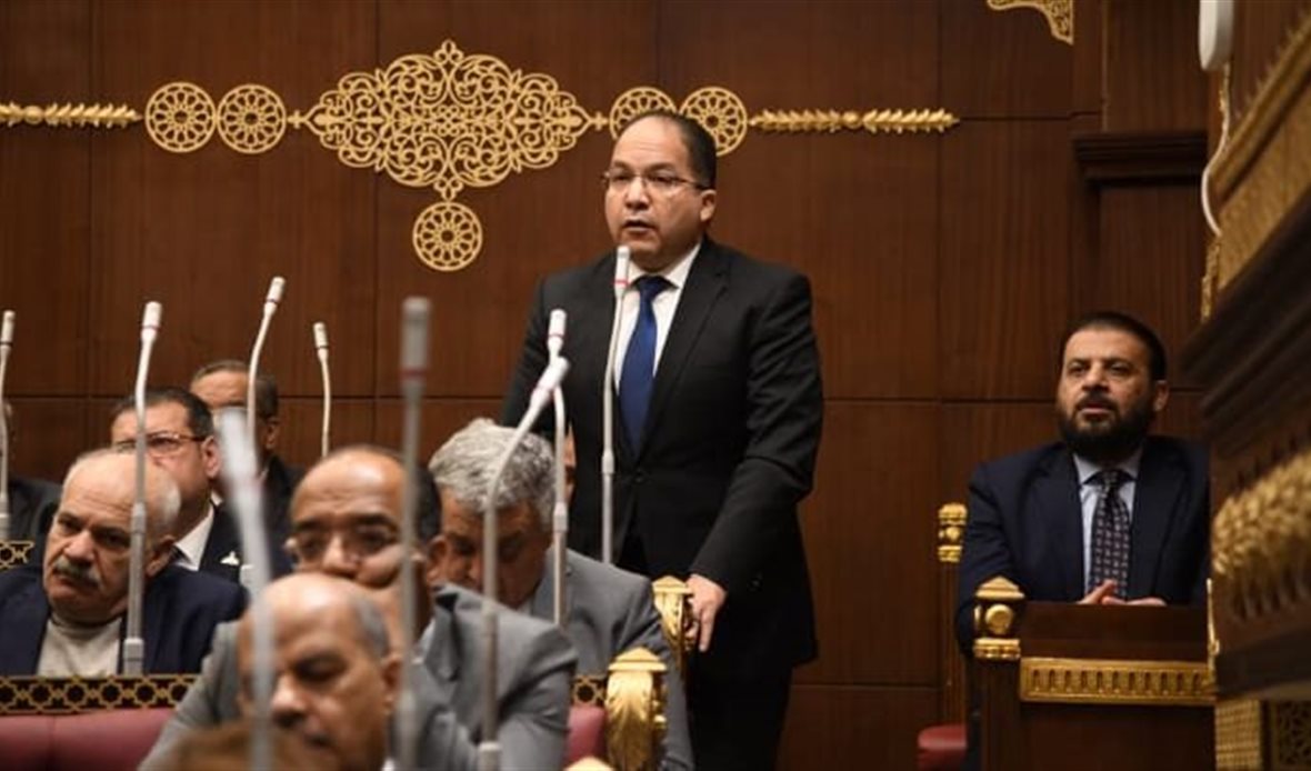 النائب عادل اللمعي