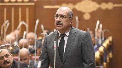 نائب يطرح رؤية شاملة للحكومة بشأن توطين صناعة الدواء في مصر