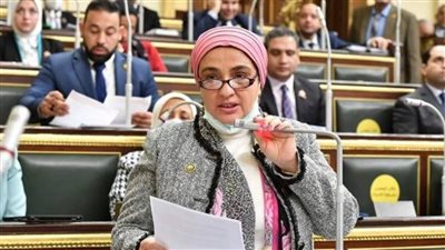 تحرك برلماني يطالب بغلق الصفحات غير الحقيقية بفيسبوك