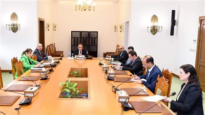 وزير الخارجية يجتمع بقيادات الوزارة المعنيين بالتحول الرقمي للخدمات القنصلية