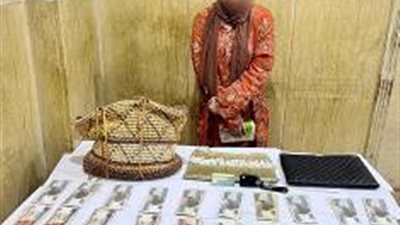  مباحث القاهرة تضبط 12 لصًا لارتكابهم جرائم سرقة