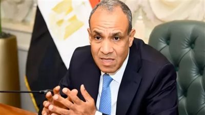 وزير الخارجية: مصر الدولة الوحيدة التي تعمل بجدية لوقف الحرب بالسودان