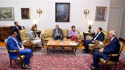 وزير الخارجية: مصر تولي أهمية مُتقدمة لتعزيز التعاون الدولي مُتعدد الأطراف 