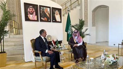 وزير الخارجية والهجرة يعقد جلسة مباحثات مع نظيره السعودي بالرياض