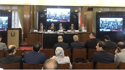 رئيس دستورية النواب يكشف معلومات هامة بشأن مشروع قانون الإجراءات الجنائية
