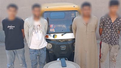“ضبط تشكيل عصابي لسرقة الهواتف في البحيرة بعد تداول فيديو مُثير”
