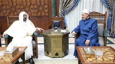 شيخ الأزهر يشدِّد على ضرورة إعادة النظر في بعض القضايا الخاصة بالمرأة التي طغى فيها فقه العادات والتَّقاليد السائدة