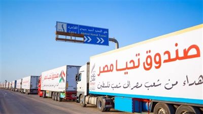 مراسل إكسترا نيوز: 20 شاحنة مساعدات فقط دخلت قطاع غزة اليوم
