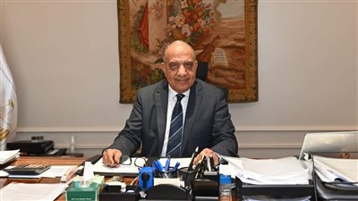 برلمانية تطالب الحكومة بزيادة العلاوات التشجيعية ورفع بدل المخاطر للعاملين بكهرباء مصر