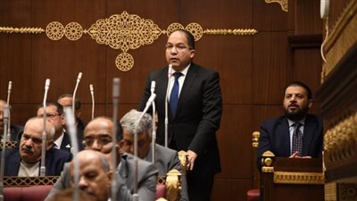 برلماني: الحزمة الاجتماعية الجديدة خطوة عادلة لمساندة الأسرة المصرية في مواجهة التضخم