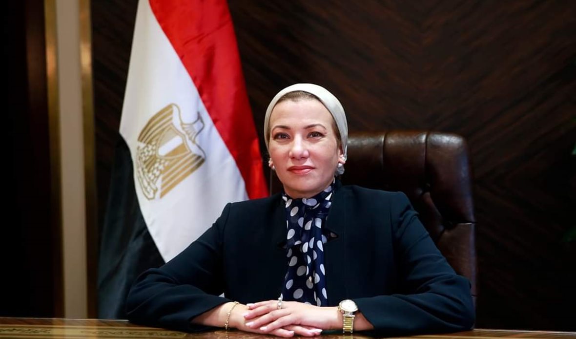 الدكتورة ياسمين فؤاد