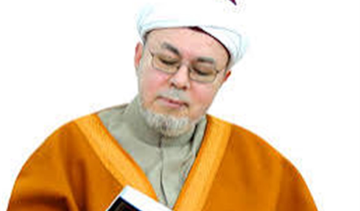 صلاح الدين التيجاني