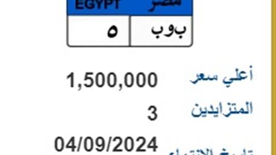 أسعار اللوحات المعدنية المميزة تصل لـ 1.5 مليون جنيه( صور)