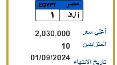 “من 300 ألف إلى 2 مليون جنيه: أسعار اللوحات المعدنية المميزة في السوق”