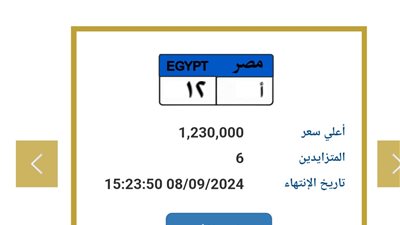 “الداخلية تعرض لوحات معدنية للبيع بقيمة تصل إلى 1.2 مليون جنيه”