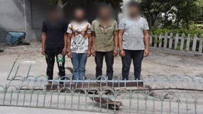 “القبض على 13 لصاً بتهم سرقة الشقق والسيارات والدراجات النارية والكباري”