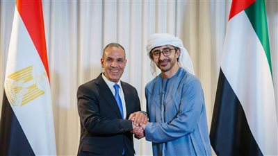 وزير الخارجية يعقد جلسة مباحثات مع نظيره الإماراتي