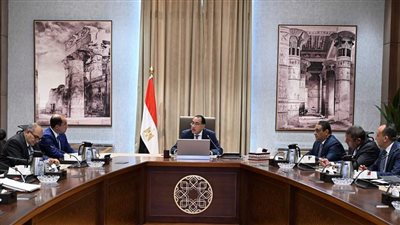 رئيس الوزراء يتابع إجراءات تفعيل وكالة ضمان الصادرات والاستثمار في إفريقيا 