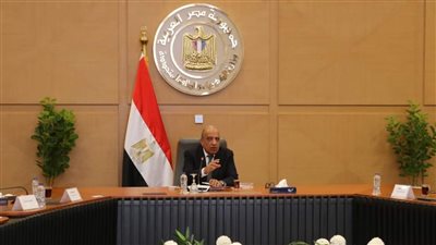“عصمت”: الدولة عازمة على التصدي لظاهرة سرقة التيار الكهربائي