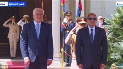 المنظمة المصرية الألمانية: زيارة شتاينماير إلى مصر تفتح آفاقا جديدة للتعاون