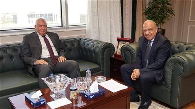 تفاصيل لقاء وزير الكهرباء مع محافظ الوادي الجديد