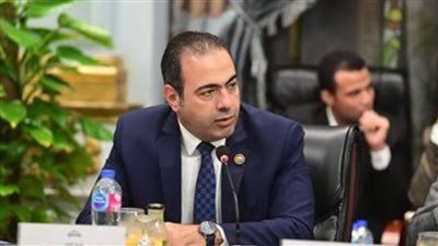 مستقبل وطن يختار النائب محمود حسين أمينًا لـ«العامة للمصريين بالخارج»