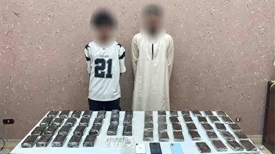 سقوط عاطلين بحوزتهما كميات من مخدر الحشيش بـ 2 مليون جنيه بالبحر الأحمر