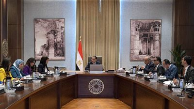 رئيس الوزراء يُتابع الخطة الاستثمارية لمشروعات الطاقة الجديدة والمتجددة