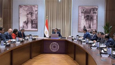 رئيس الوزراء يستعرض مشروعا مقترحا لإقامة مركز بيانات أخضر من خلال أحد التحالفات
