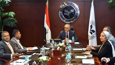 وفد استثماري من موريشيوس يبحث إنشاء مشروع لإعادة تدوير المخلفات الإلكترونية في مصر