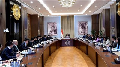 “مدبولي” يلتقي الرئيس التنفيذي لمجموعة 