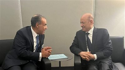 وزير الخارجية يلتقي رئيس المجلس الرئاسي اليمني